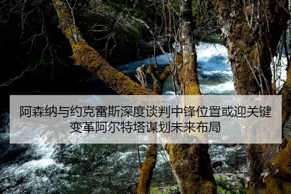 阿森纳与约克雷斯深度谈判中锋位置或迎关键变革阿尔特塔谋划未来布局