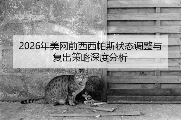 2026年美网前西西帕斯状态调整与复出策略深度分析