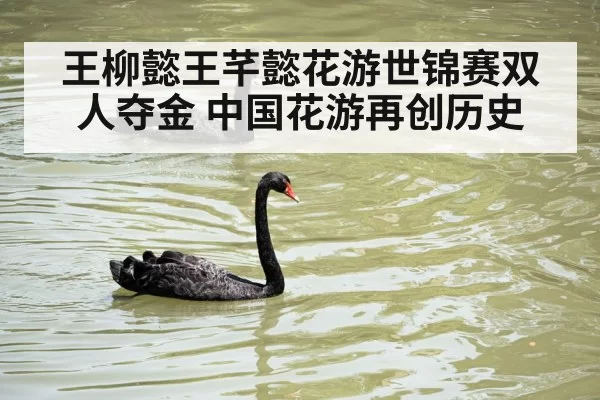 王柳懿王芊懿花游世锦赛双人夺金 中国花游再创历史